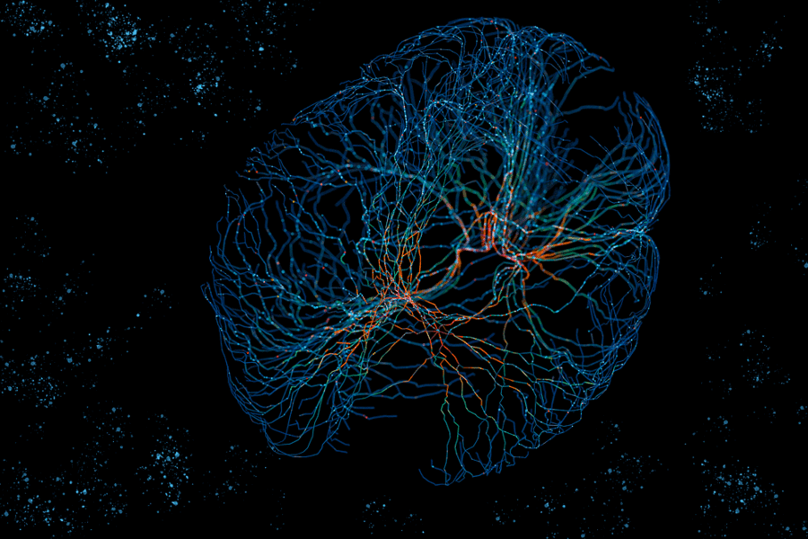 Deep Learning Project: 1